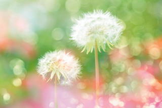 ���̎v���o